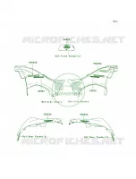 DecalsC.H.GreenE8FE9F per Kawasaki Brute Force 750 4x4i Hardwoods Green HD 2009