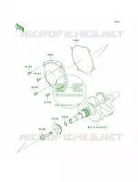 Recoil Starter per Kawasaki Brute Force 750 4x4i Hardwoods Green HD 2009