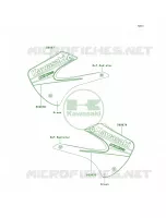 DecalsGreenD6F per Kawasaki KX100 2009
