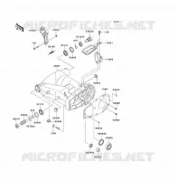 FORCELLONE per Kawasaki KFX700 2006