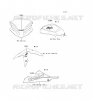 ADESIVO(WHITE)(CN) per Kawasaki NINJA 300 ABS 2014