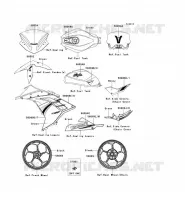 ADESIVO(GREEN) per Kawasaki NINJA 300 ABS 2014