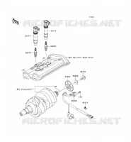 ACCENSIONE per Kawasaki ER-6F ABS 2008