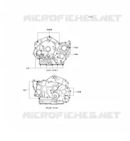 CARTER BOLT per Kawasaki VN800 2002