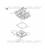 COPPA DELL'OLIO per Kawasaki NINJA ZX-6R 2014