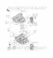 CARTER(S) per Kawasaki NINJA ZX-6R ABS 2013