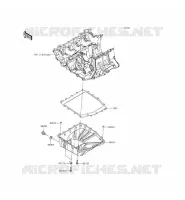 COPPA DELL'OLIO per Kawasaki NINJA ZX-6R ABS 2014