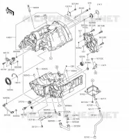 CARTER(S) per Kawasaki Z650 2018