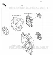 ACCESSORIO(Engine Cover Ring) per Kawasaki Z900 2018