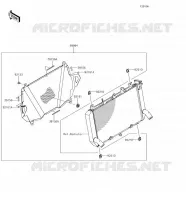 ACCESSORIO(Radiator Screen) per Kawasaki Z900 2018