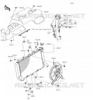 RADIATORE per Kawasaki Z900 2018