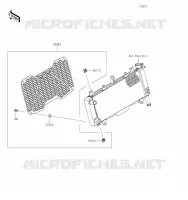 ACCESSORIO(Radiator Screen) per Kawasaki Z650 2019