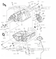 CARTER(S) per Kawasaki Z650 2019