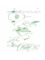 DecalsGreenFDF per Kawasaki Ninja ZX-6R ABS 2013