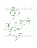 DecalsGreenBlackE9FA per Kawasaki Ninja ZX-10R 2009
