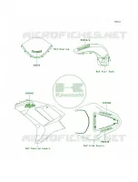 DecalsEbonyP7F per Kawasaki Ninja ZX-6R 2008