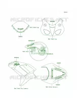 DecalsGreenP8F per Kawasaki Ninja ZX-6R 2008