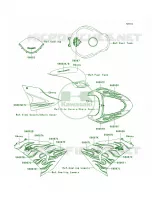 DecalsEbonyD7FA per Kawasaki Ninja ZX-10R 2006