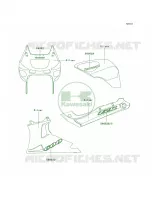 DecalsSilverE11CN per Kawasaki Ninja ZX-6 2002