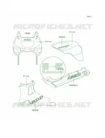 DecalsSilverE13 per Kawasaki Ninja ZX-6 2002