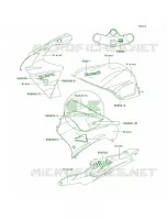 DecalsGreenVioletZX900 E1 per Kawasaki Ninja ZX-9R 2000