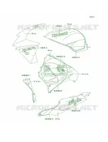 DecalsBlueVioletZX900 C2 per Kawasaki Ninja ZX-9R 1999