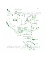Labels per Kawasaki Ninja 1000 ABS 2015