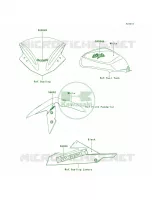 DecalsWhiteBEFCN per Kawasaki Ninja 300 ABS 2014