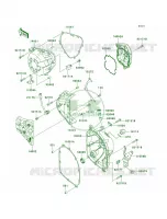 Engine Covers per Kawasaki Ninja 1000 ABS 2013