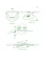 DecalsEbonyBDF per Kawasaki Ninja 300  2013