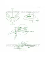 DecalsEbonyBEF per Kawasaki Ninja 300  2013
