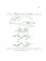 DecalsOrangeLAFLAS per Kawasaki Z750  2010