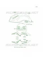 DecalsOrangeL8F per Kawasaki Z750  2007