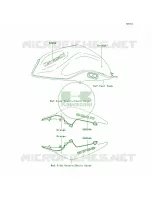 DecalsOrangeL8F per Kawasaki Z750  2007