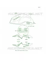 DecalsOrangeLAFLAS per Kawasaki Z750  2007