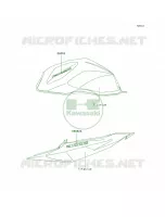 DecalsTitanium per Kawasaki Z1000 2006
