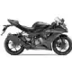 636 2016 NINJA ZX-6R ABS ZX636FGF